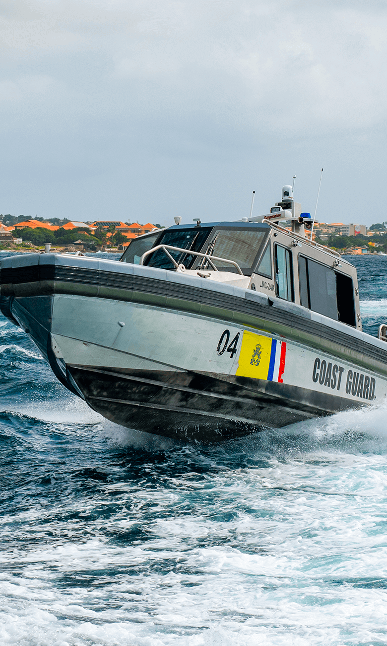 METAL SHARKS 780×1300